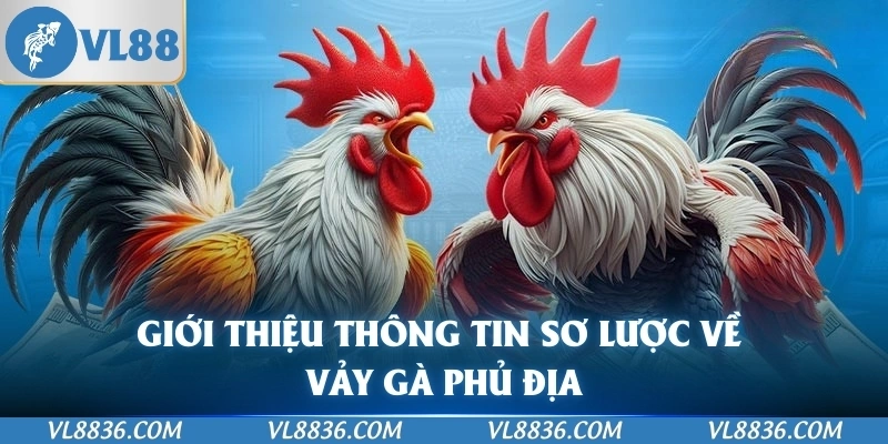 Giới thiệu thông tin sơ lược về vảy gà phủ địa