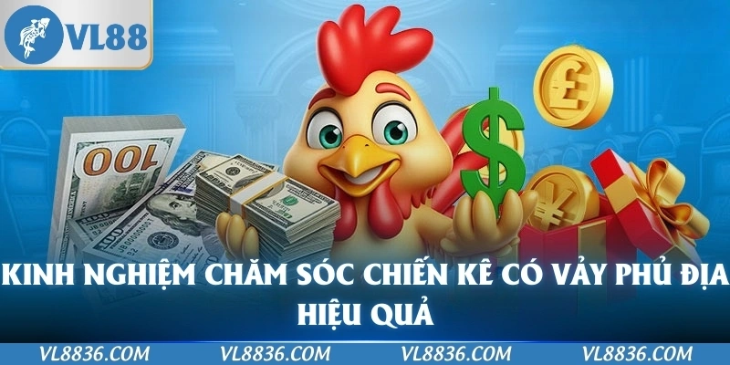 Kinh nghiệm chăm sóc chiến kê có vảy phủ địa hiệu quả