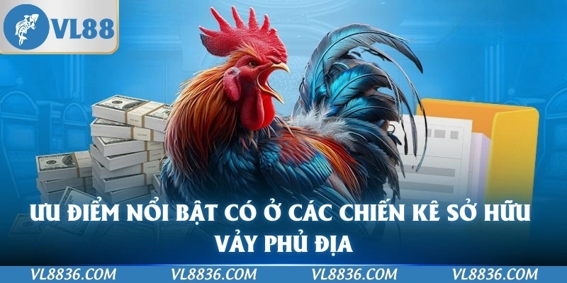 Ưu điểm nổi bật có ở các chiến kê sở hữu vảy phủ địa
